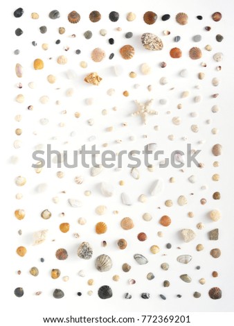 A creative pattern of shells, unprocessed pieces of amber, natural stones, starfish. Composition of natural materials, flat lay, top view. Summer, sea concept. Marine background, stone texture.