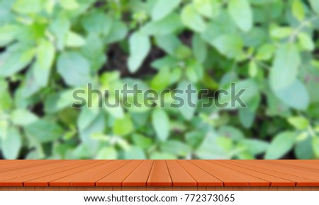 Wooden table whit green blurry green leave background.