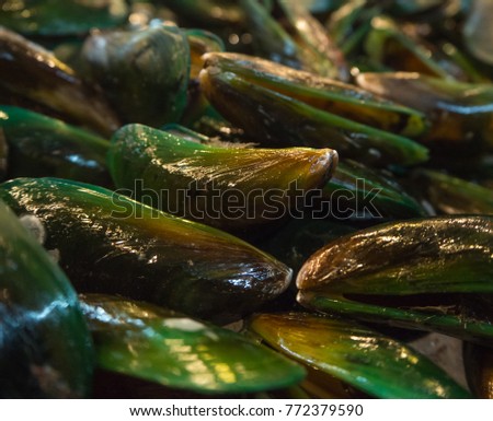 Stacked fresh green mussel ,glitter lights on cap and focusing center of picture