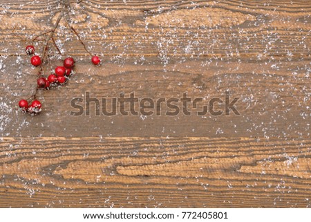 background new year. christmas background. natural tree. snow. red berries. spruce branches. berries and branches on a natural background 