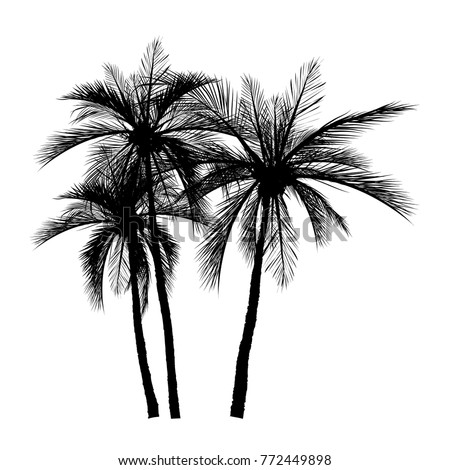 vector of palm tree silhouette icons on white background, coconut tree flat icon for vacation apps and websites.