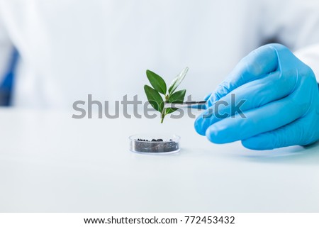 Agro engineering. Selective focus of a small plant being used for agro engineering research Royalty-Free Stock Photo #772453432