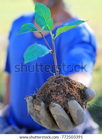 earth day hand holding plant stock photo