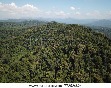 Rainforest jungle aerial photo