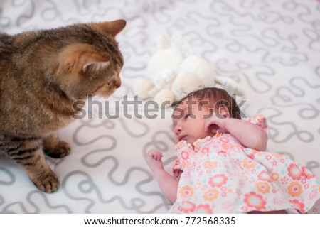 A newborn baby with cat