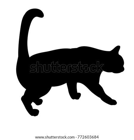 isolated, black silhouette of a cat is coming
