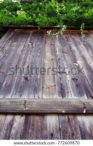 Wooden planks and green garden texture backgrounds,wall vertical garden and wood 
