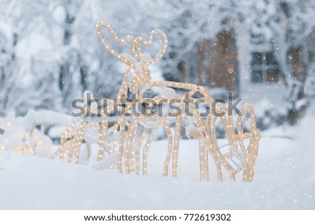 Reindeer sleigh in the Snow