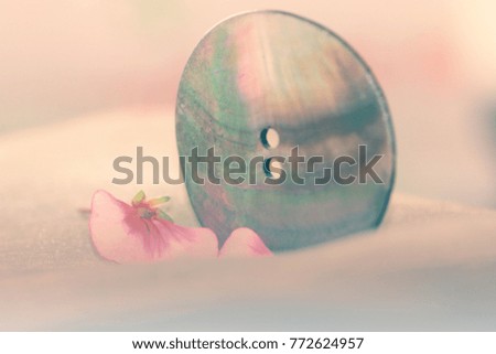 Button and pink petals still life
