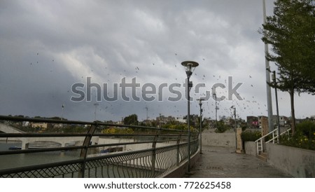 This picture of a garden contains Walk way, Lake on the left side, Lamp, Security Camera,Cloudy sky and Flying Birds.