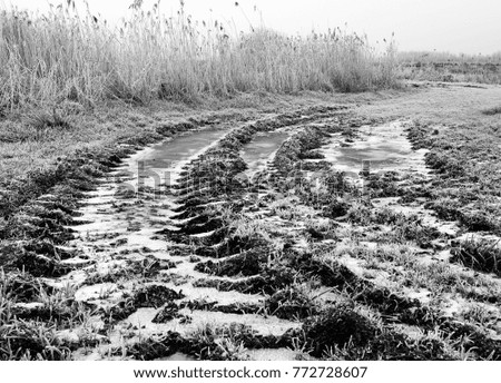 Winter scene landscape. Snow covered tracks in the field. Black and white photo