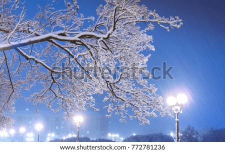 Amazing winter night landscape of snowy trees and shining lights during the snowfall. Artistic picture. Beauty world.