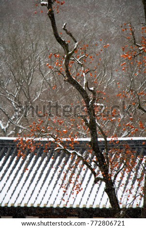 snow covered persimmon tree with Korean traditional roof