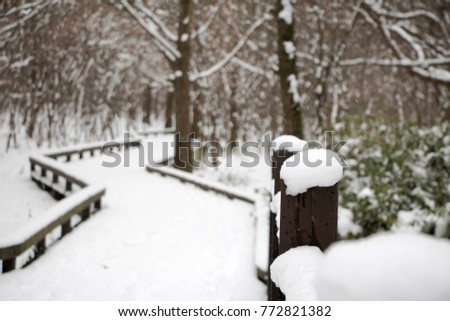 snow covered fence on a cold wintry day