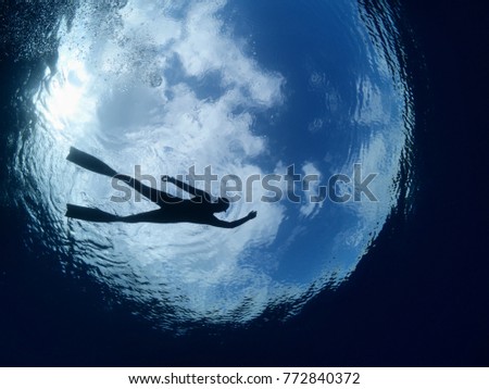 free diver swimming underwater silhouette 