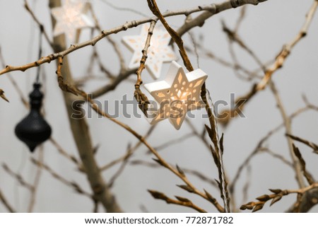 the asterisk on the branches