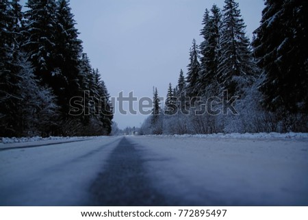 Climate roads tree snow