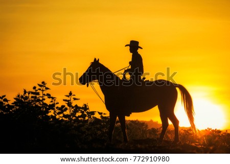 Silhouette of cowboy riding a horse.
