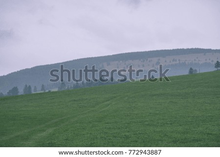 panoramic view of misty forest. far horizon. mountain area in slovakia - vintage effect film look