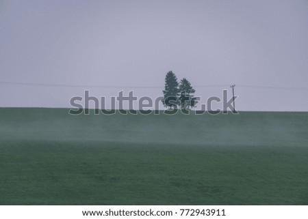 panoramic view of misty forest. far horizon. mountain area in slovakia - vintage effect film look