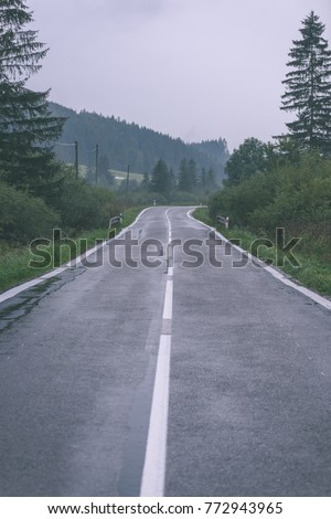 empty asphalt road in the countryside with trees in surrounding. perspective in autumn colors - vintage matte look
