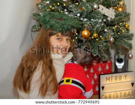 Caucasian pretty girl holding Mexican hairless dog in Santa Claus costume sitting near christmas fir tree
