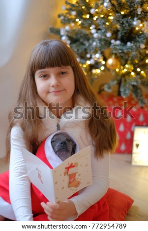 Closeup portrait of Mexican hairless dog in Santa Claus costume with wooden white tag Xmas sitting in wooden brown basket
