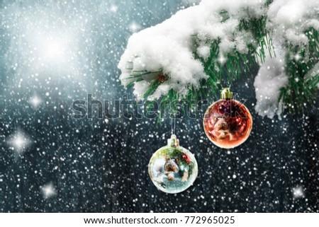 snow-covered pine branch, with New Year's toys and balls, for Christmas or New Year on a dark background in the snow