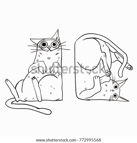 cat illustration vector drawing 