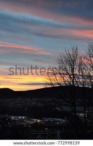 Colorful clouds and tree at sunset over Oslo.