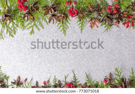 Tiny pine cones with mistletoe festive background with copy space