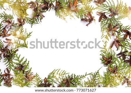Tiny pine cones and branches with copy space and white background
