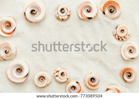 The frame is lined with sea shells, a square of shells on white ideal sand. Place for text in the middle of the frame. A natural background for a spa or postcard. View from above.