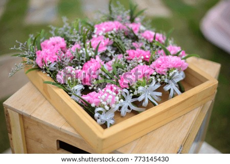 flower pink on boxes wooden