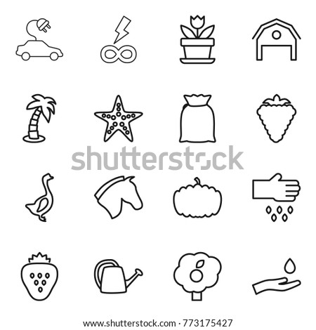 Thin line icon set : electric car, infinity power, flower, barn, palm, starfish, flour, berry, goose, horse, pumpkin, sow, strawberry, watering can, garden, hand and drop