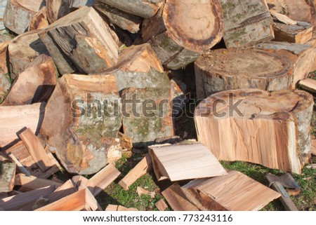 a pile of freshly chopped wooden logs. Pile firewood prepared for fireplace. Big pile of firewood logs and blocks