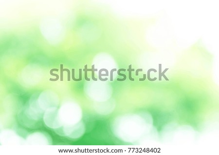 Natural Green bokeh background