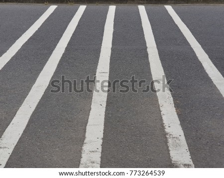 Empty crosswalk on the road built for safety the people