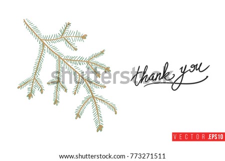 Xmas greeting card with big fir twig and text: thank you. Cute composition for Merry Christmas and New Year celebration. Isolated vector art on white background.