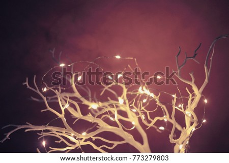 Christmas New year winter branches with lights and shadows photo