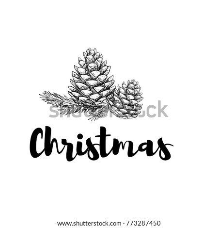 Christmas celebrating branch of a Christmas tree with cones. Happy Holidays greeting card, poster 
