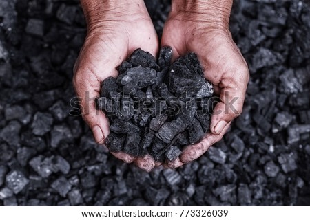 Coal mining : coal miner in the man hands of coal background. Picture idea about coal mining or energy source, environment protection. Industrial coals. Volcanic rock. Royalty-Free Stock Photo #773326039