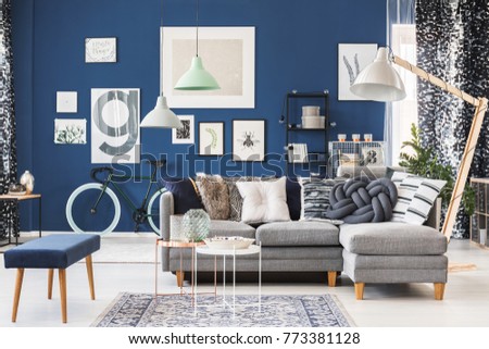 Spacious navy blue apartment with bicycle, plenty of trendy accessories and a big floor lamp
