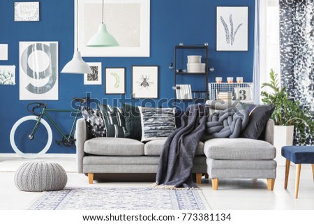 Spacious blue flat with grey corner sofa in the middle and gallery of pictures on the wall behind