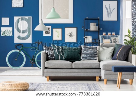 Navy blue living room with bicycle by the wall, gallery of pictures and a big grey corner sofa in the middle