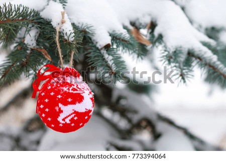 Christmas ball on spruce branches