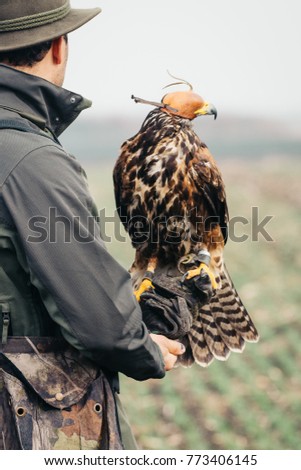 Falconer with hawk on the hand