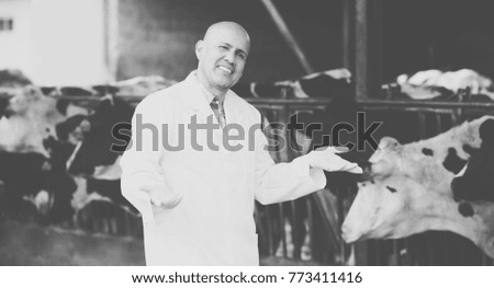 Mature veterinarian in white overall standing near cows in farm and smiling
