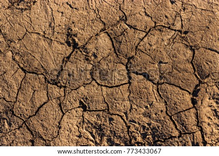 Close up of dry cracked dirt earth in South Dakota
