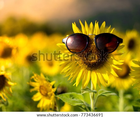 Sunflower wearing sunglasses, Looks like a mouth open to say something. (Flowers with faces)